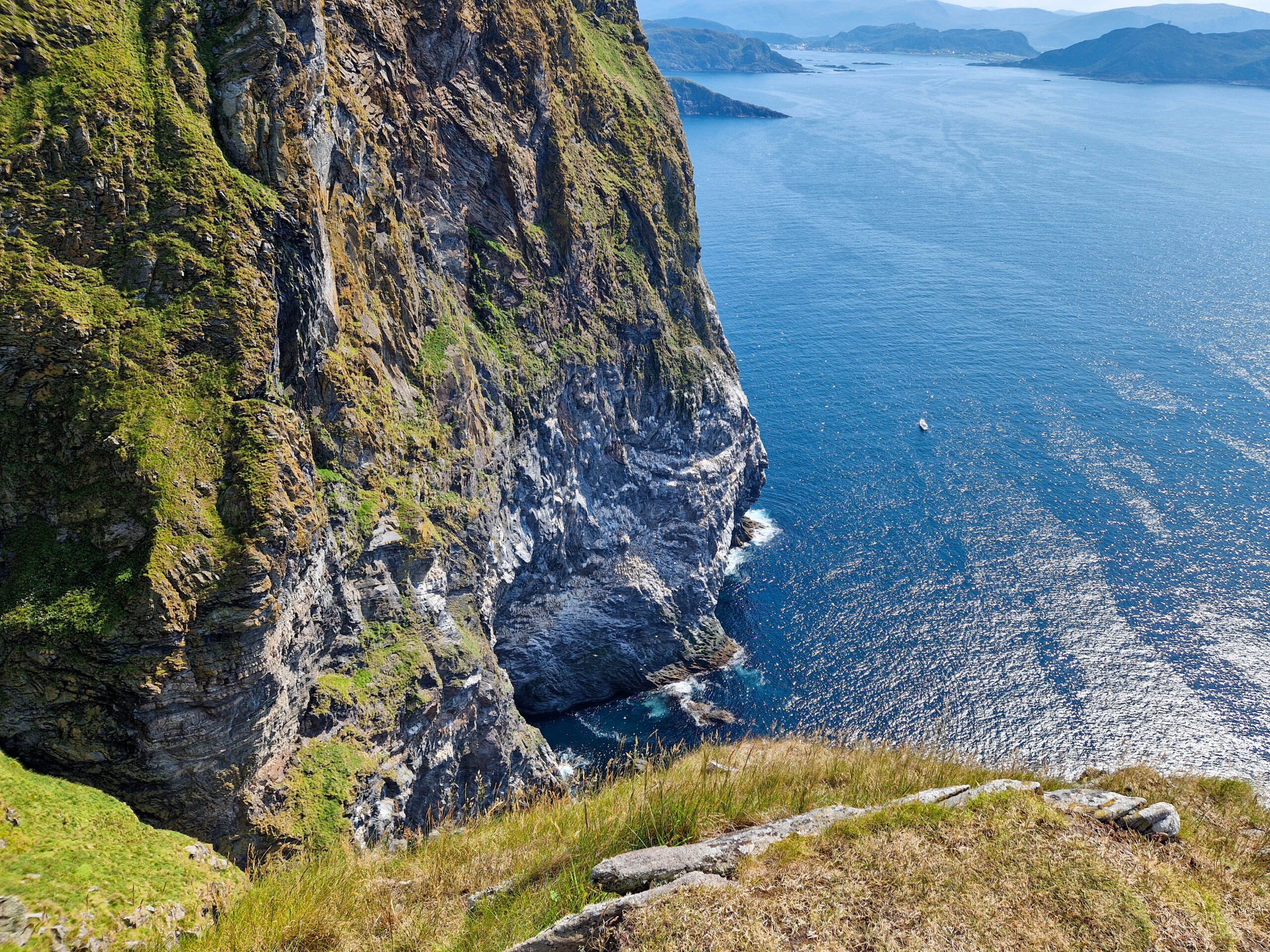 Gannet colony – 250 metres above the open sea