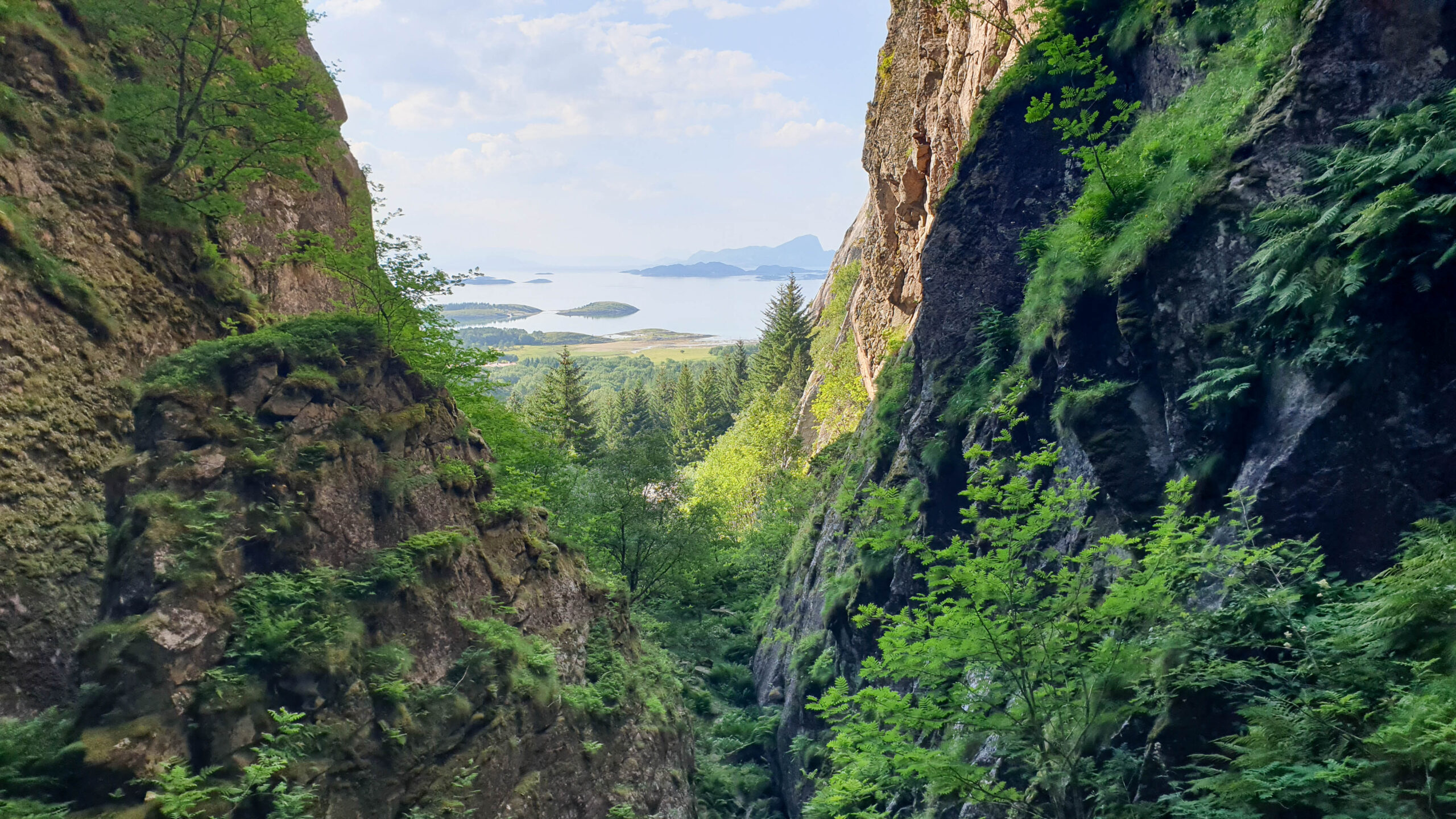 Blick zurück