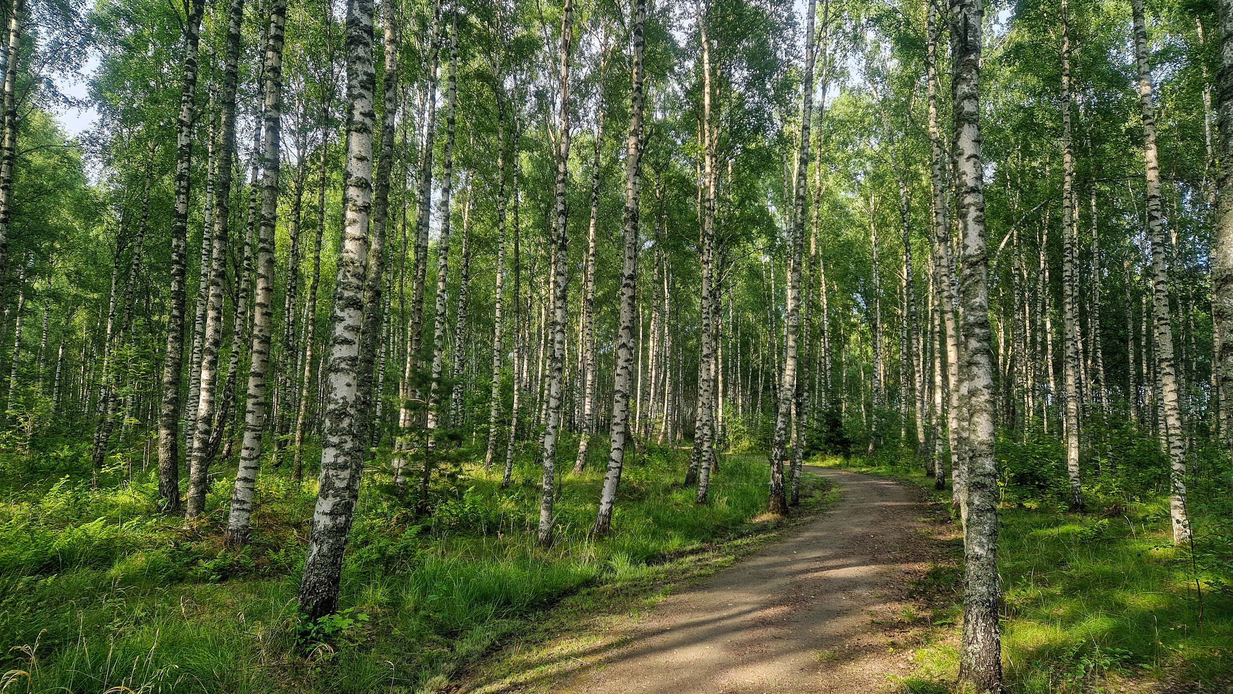 During the bike ride