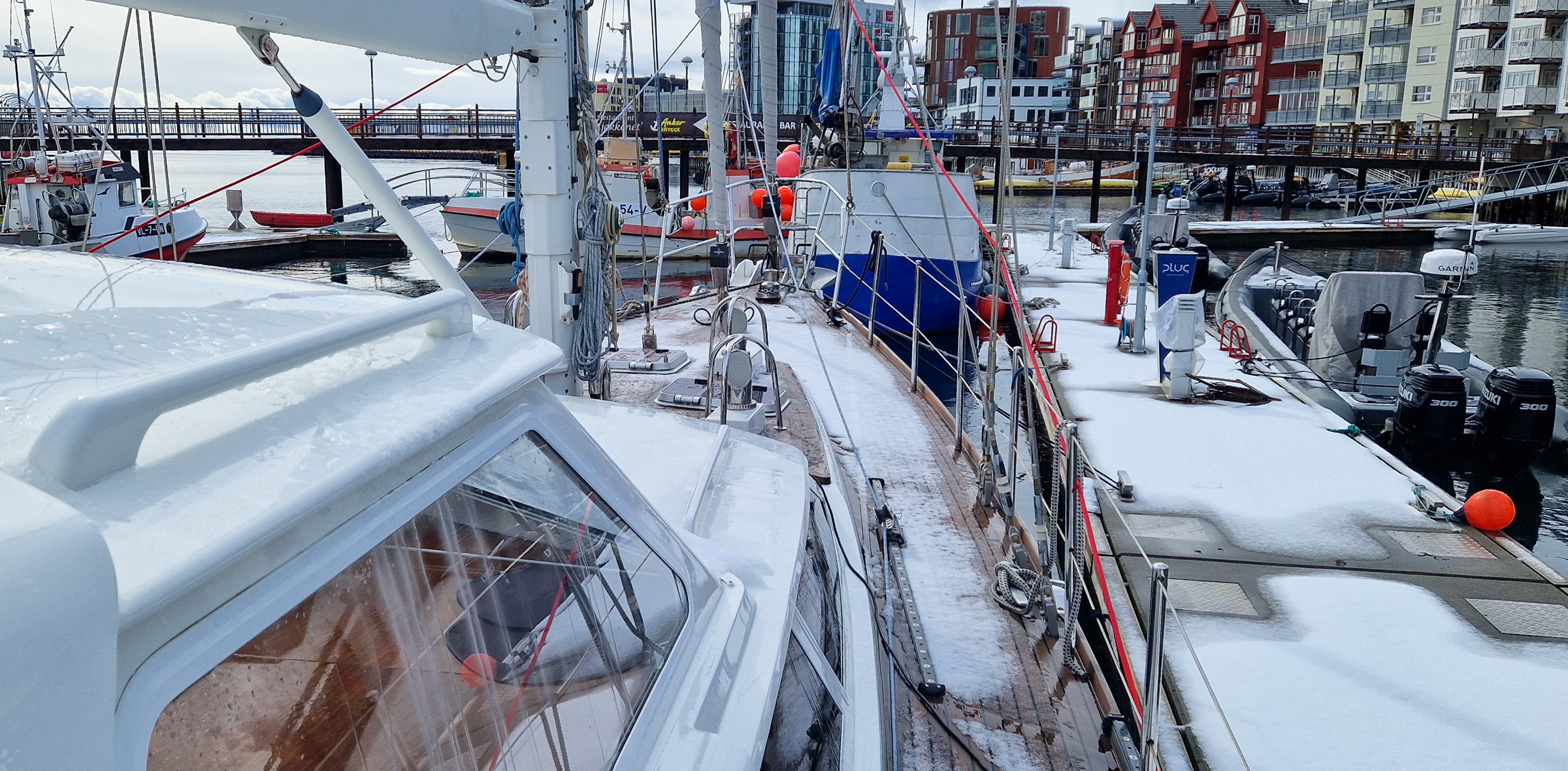 A white surprise on our first morning in Svolvær