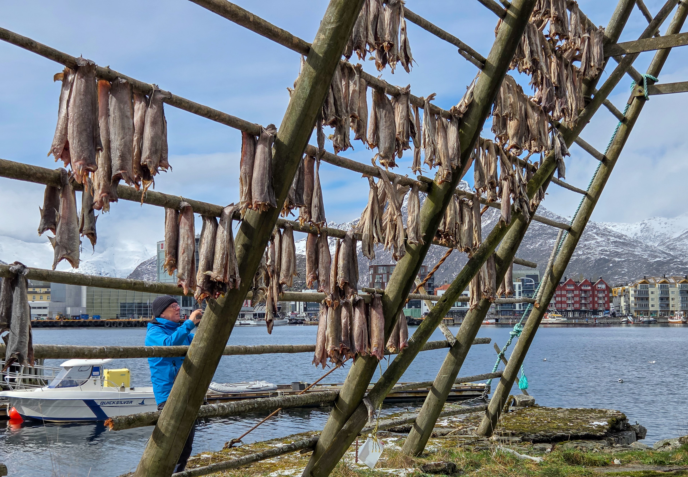 The last of the stockfish
