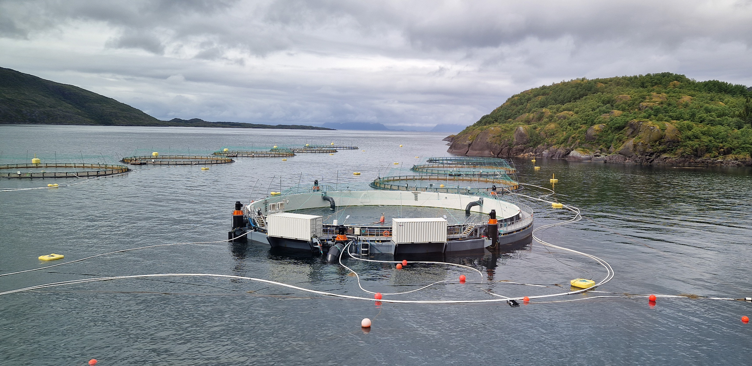 The modern salmon farming facility