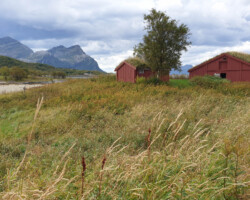 Wieder in Kjerringøy