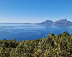 ....bis zu den Lofoten