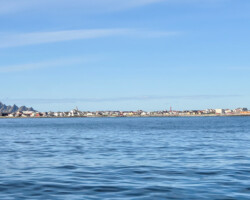 Looking back at Andenes