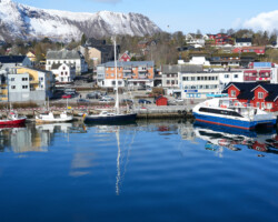 Anori im Hafen von Stokmarknes