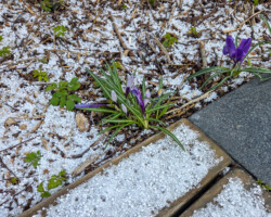 …and then winter returned
