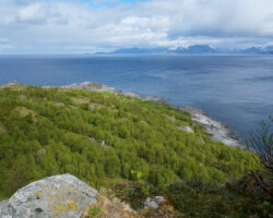 Engnes Coastal Fortress near Skjervøy