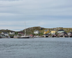 Anori am Steg in Gjesvær
