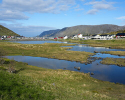 Blick auf Skarsvåg