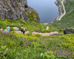 The Sherpa Steps – 1,970 steps